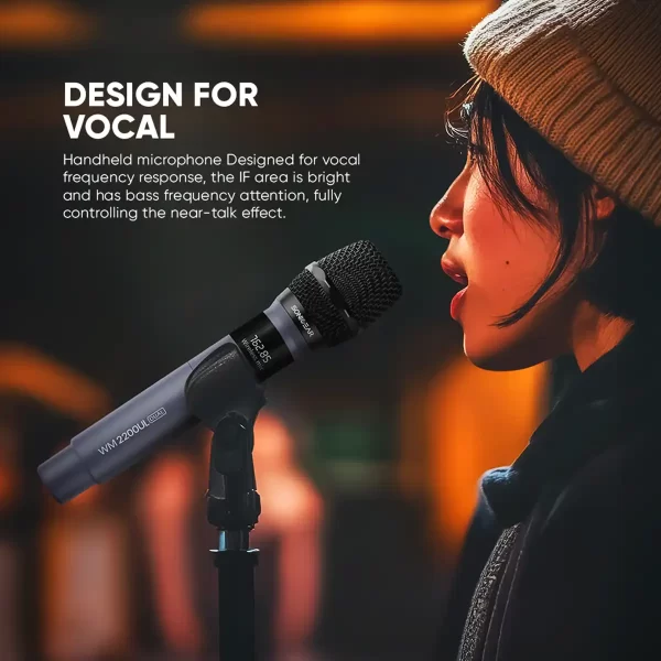 best wireless microphone for karaoke in Pakistan