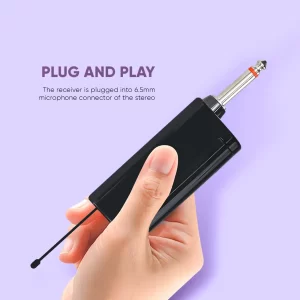 Dual wireless microphone set (2 mics included)